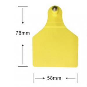 Cattle ear tag （female/male）