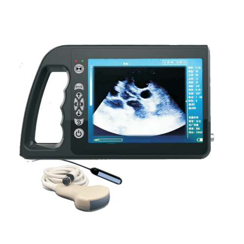 Veterinary ultrasound scanner RT-3000A+ Featured Image