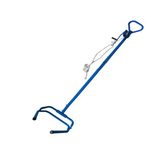 Obstetric apparatus for cattle