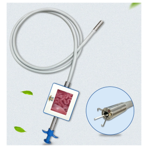 Cattle gastroscope for removing foreign bodies