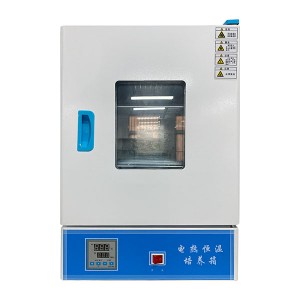 Electric heating thermostatic incubator