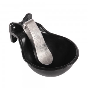 Cast iron drinking bowl