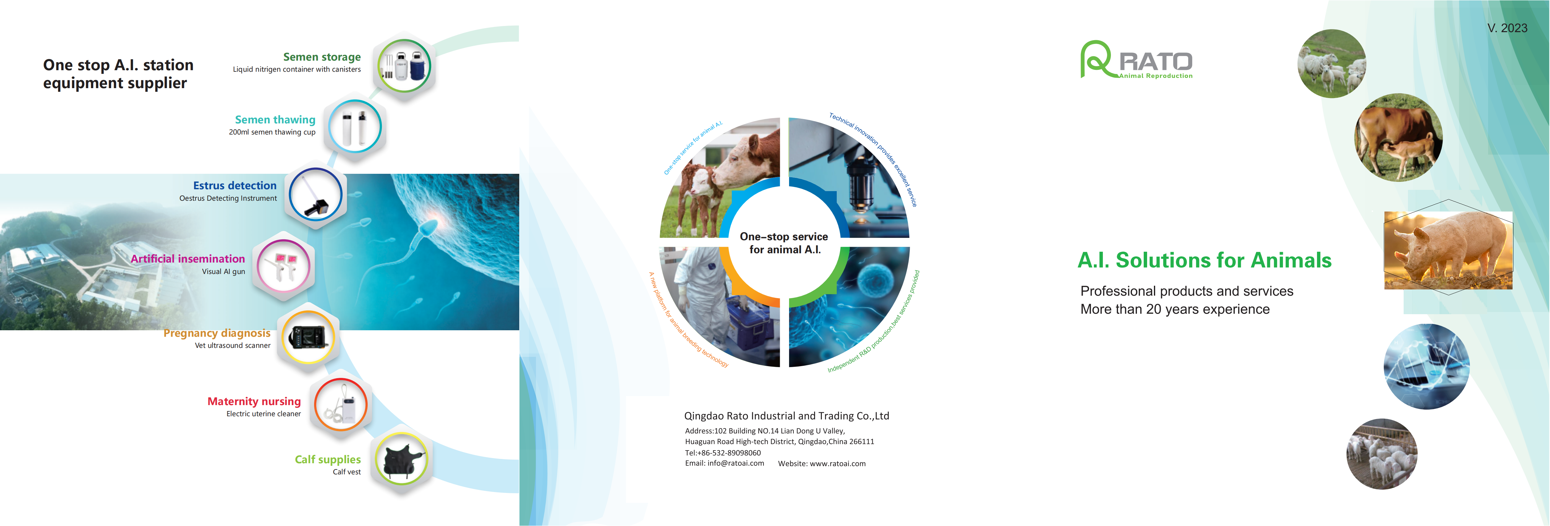 ROTO Cattle photo-社媒