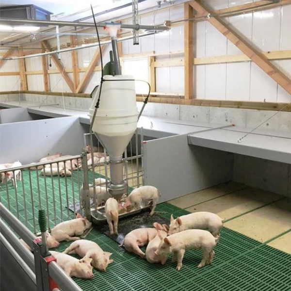 Manufacturer for Swine Ai Supplies - Wet single feeder  – RATO