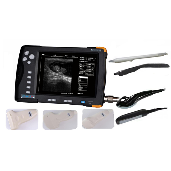 Veterinary ultrasound scanner CD66V