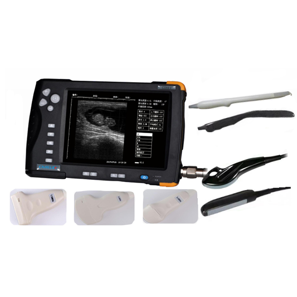 Fixed Competitive Price Pig Ear Tag - Veterinary ultrasound scanner CD66V – RATO