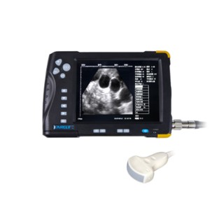 Veterinary ultrasound scanner CD66V