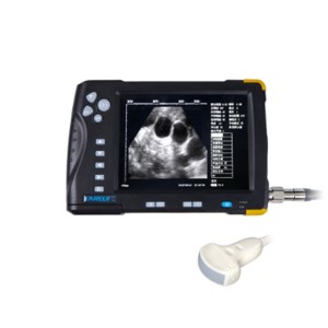 Iskena se-ultrasound yezilwanyana CD66V