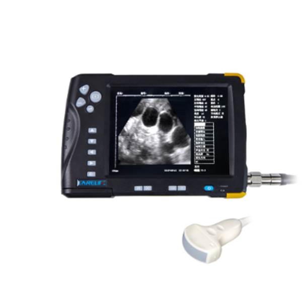 Hot-selling Deep Insemination - Veterinary ultrasound scanner CD66V – RATO